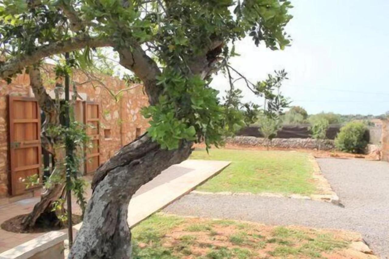Andres Villa Santanyi Bagian luar foto